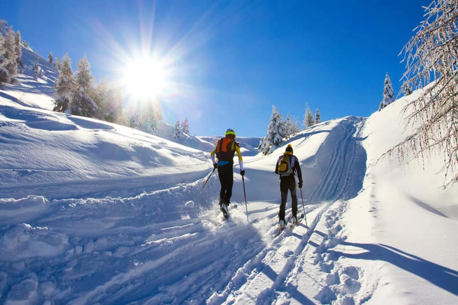 Appartements à Saint Jean d'Aulps-Gebied winter 5km