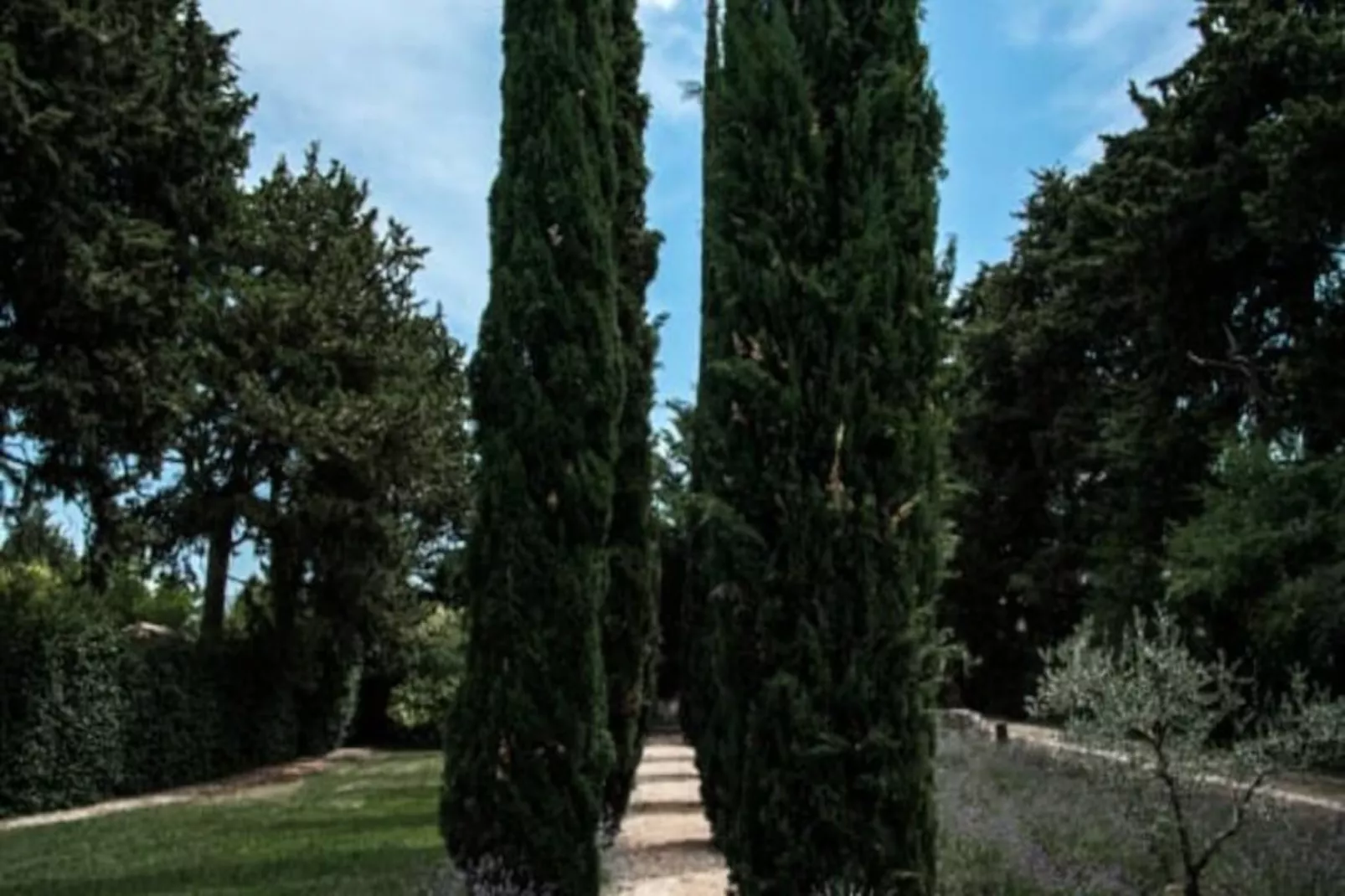 Le Mas De Jalique - Isle-sur-la-sorgue-Image-tags.