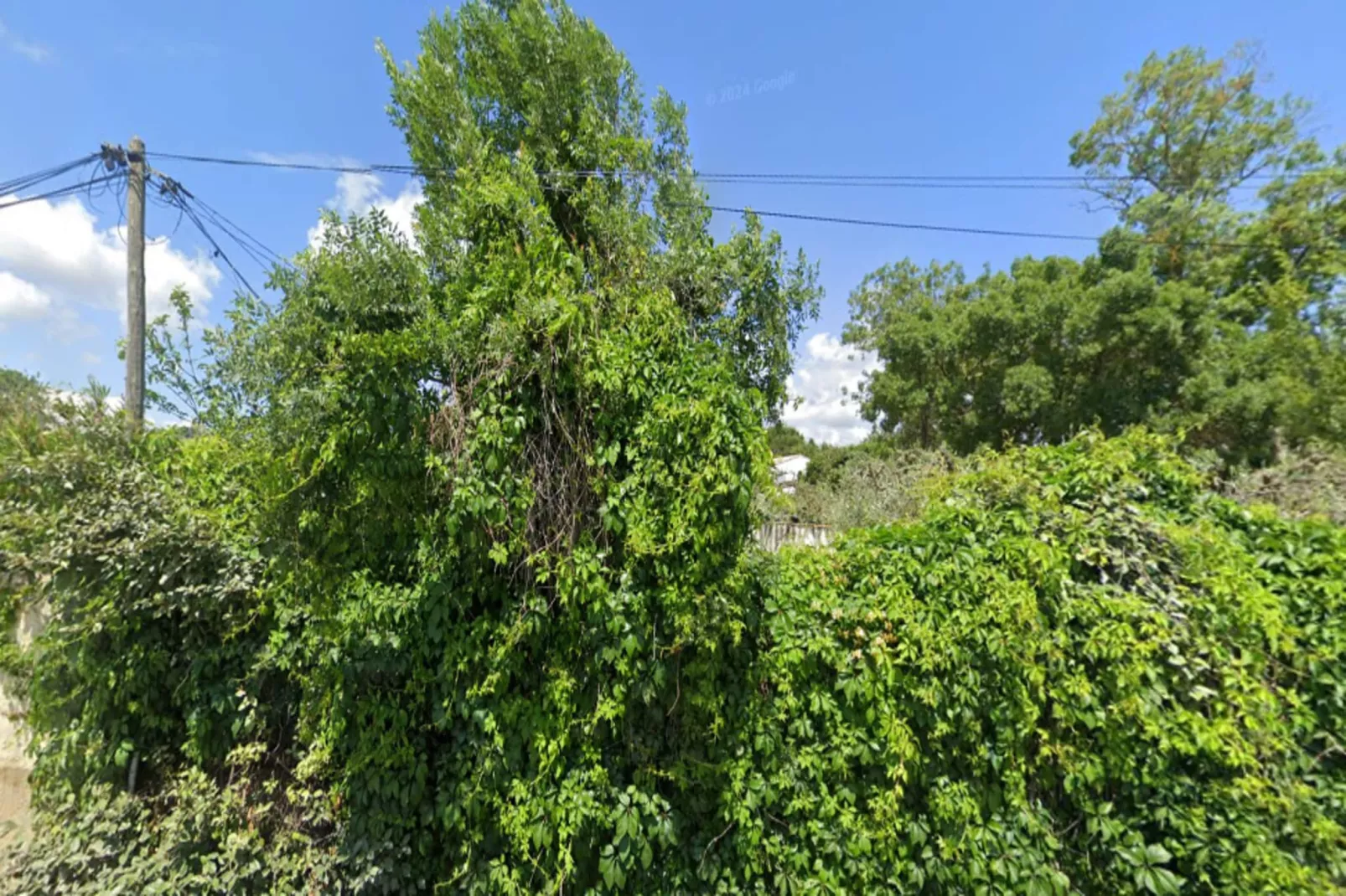Résidence Marensin-Gebieden zomer 5km