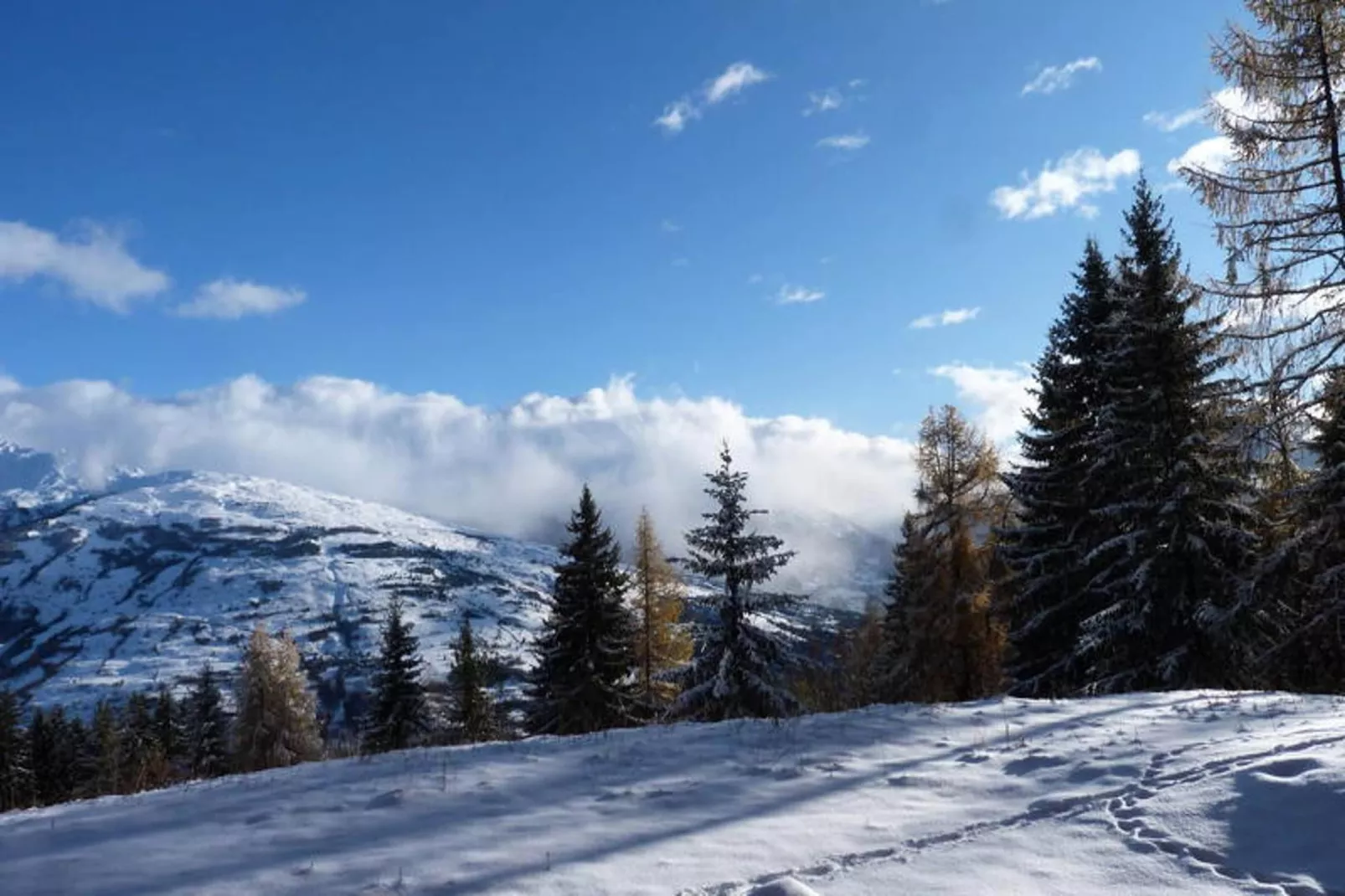 Résidence Bequi-rouge - Gebied winter 5km