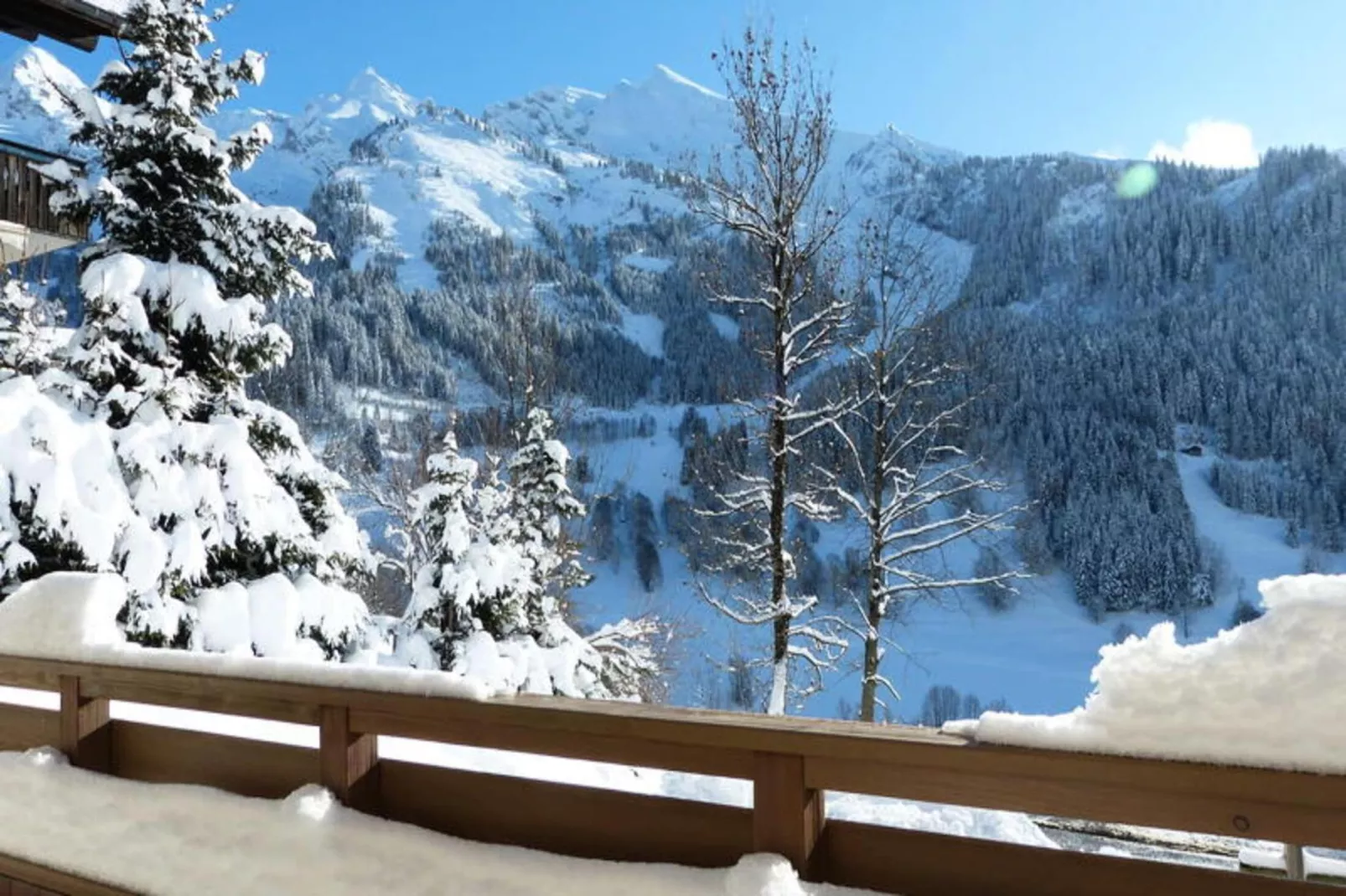 Résidence Belrose-Exterieur winter