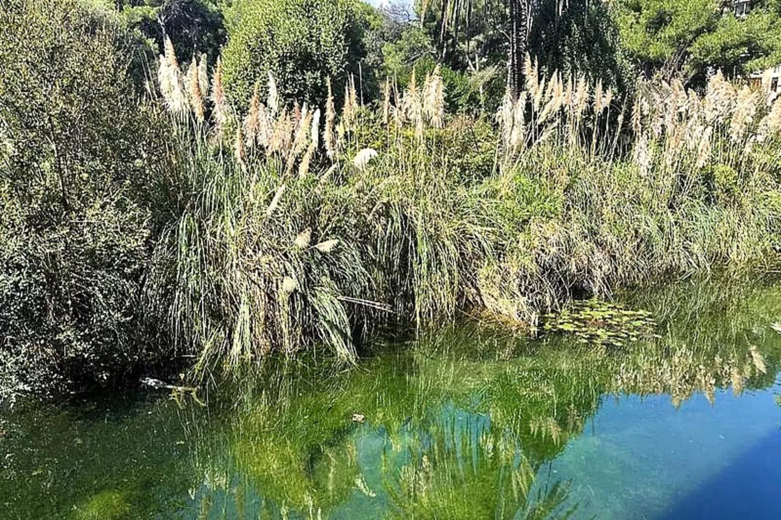 Résidence Rivages-Wellness