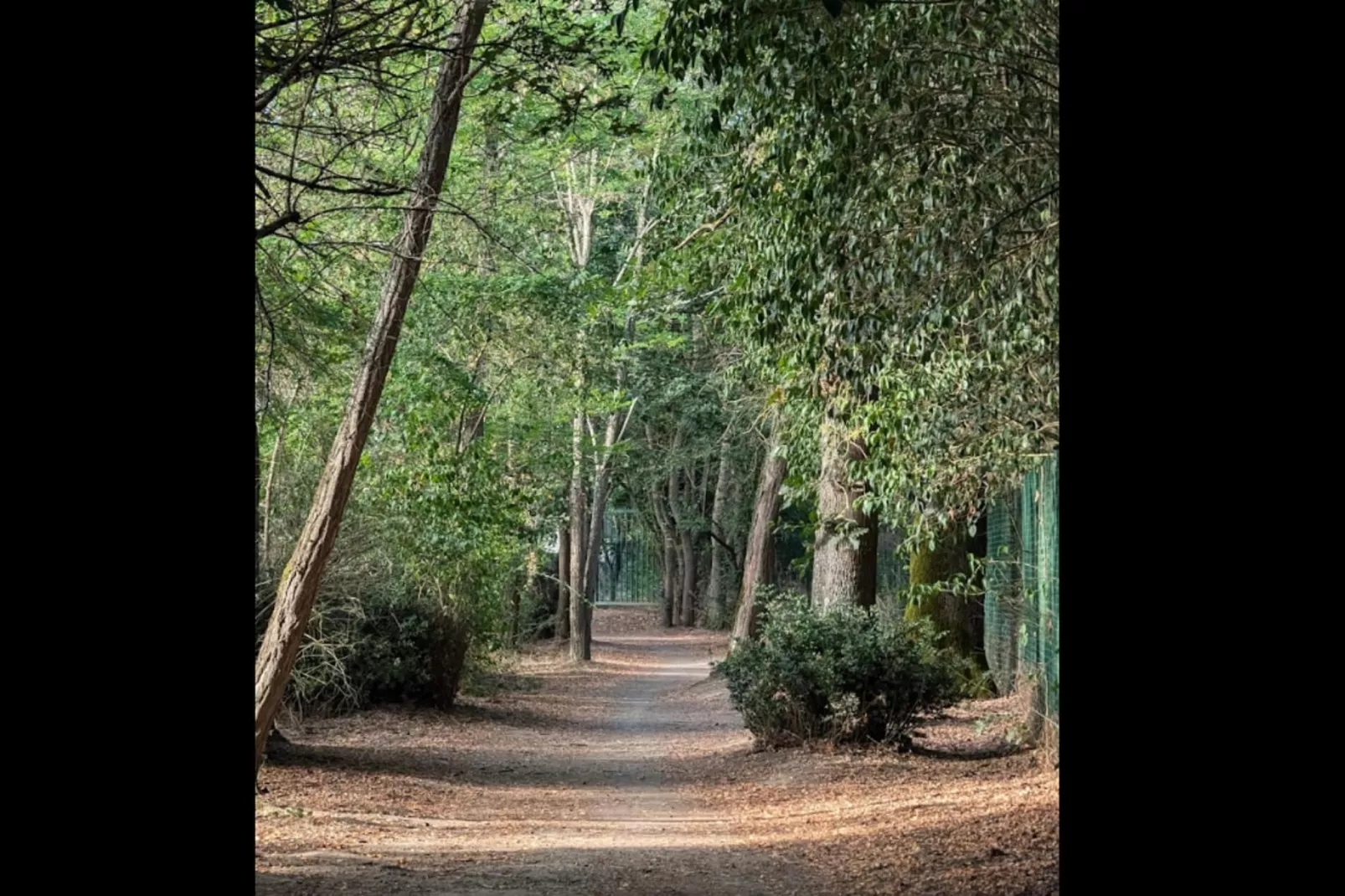 Néméa Appart'Hôtel Toulouse Saint Martin***-Buitenkant zomer