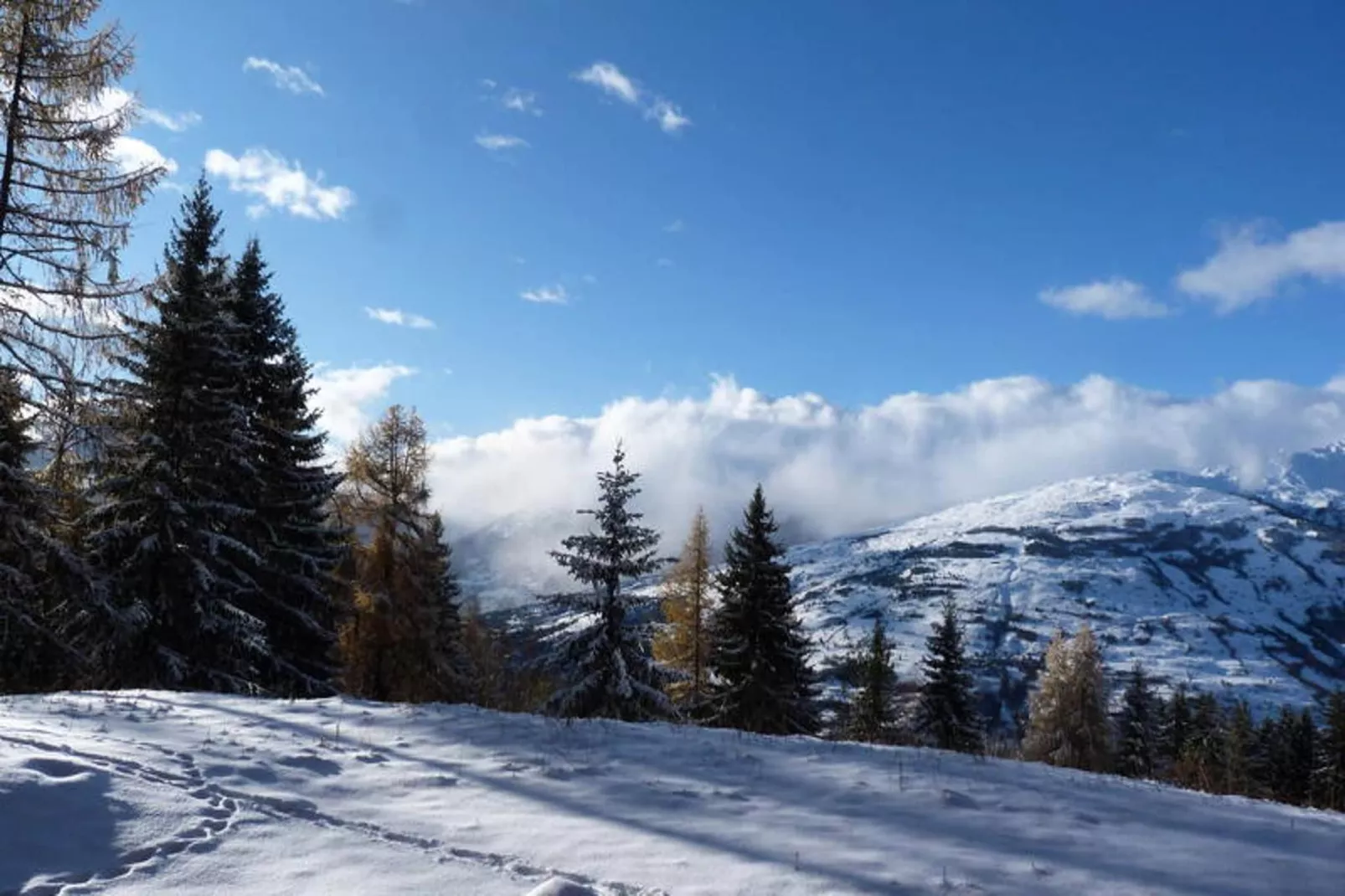 Résidence Bequi-rouge - Gebied winter 5km