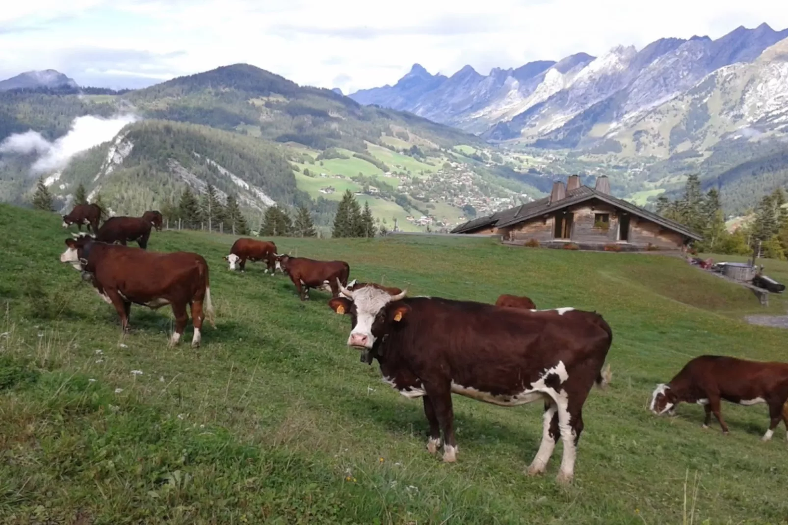 Chalet Bethanie-Gebied winter 5km