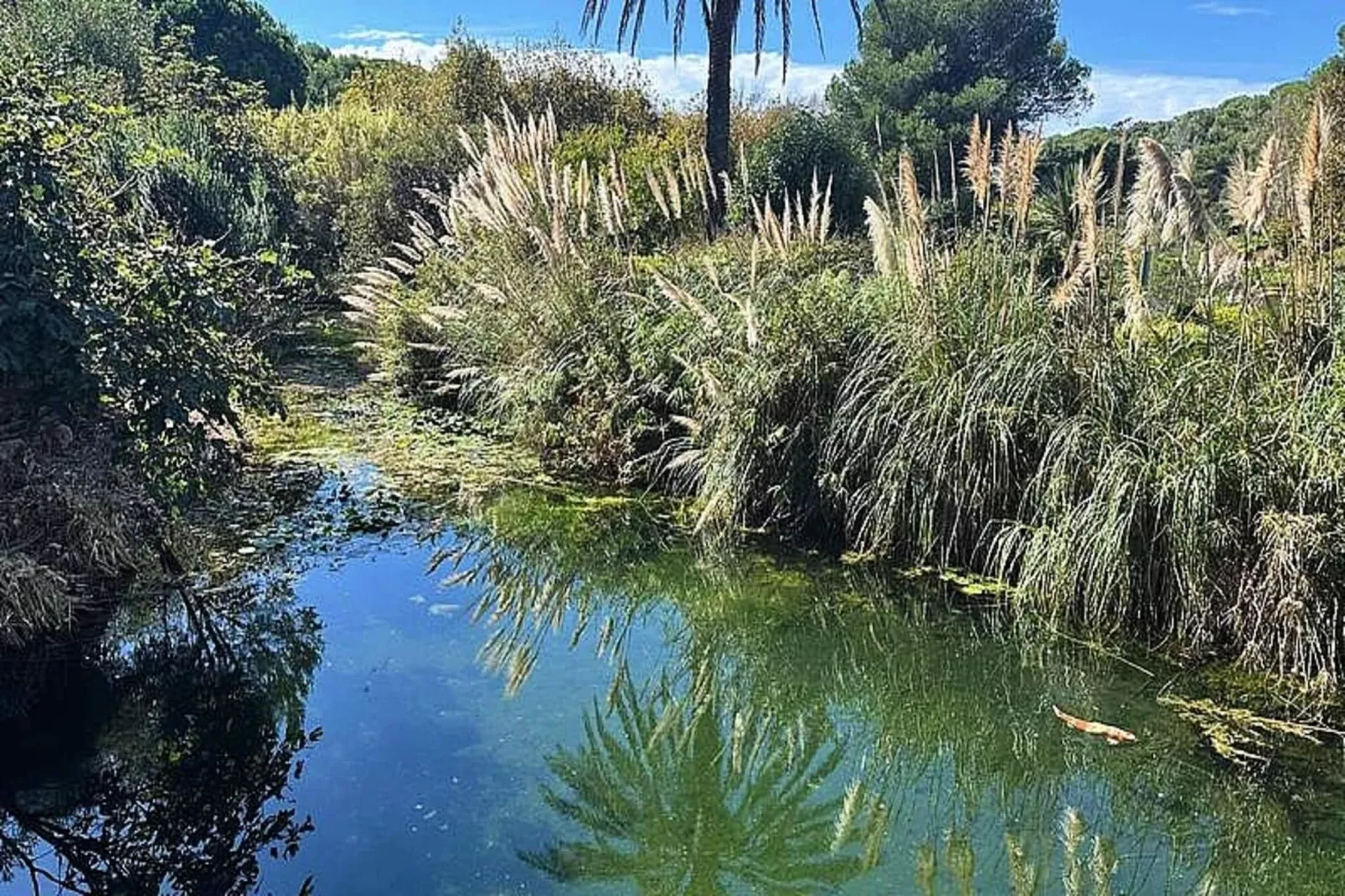 Résidence Rivages-Wellness