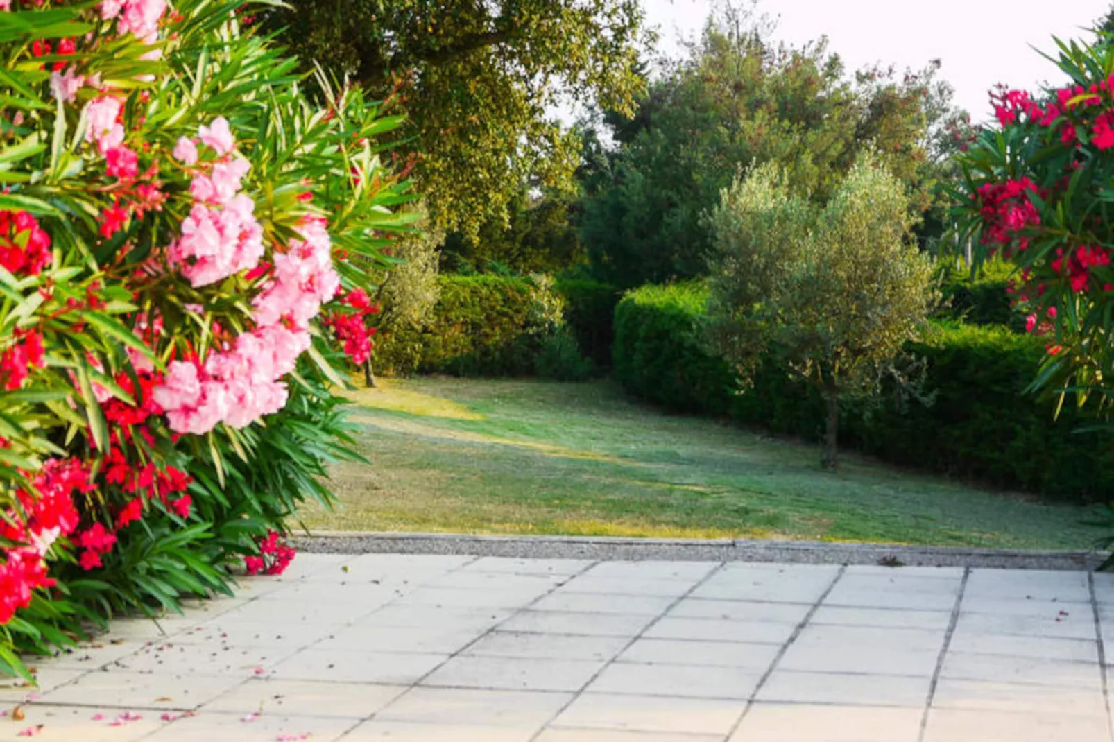 Villa De Campagne - 8 Pers - Vue Sur Les Mimosas-Image-tags.