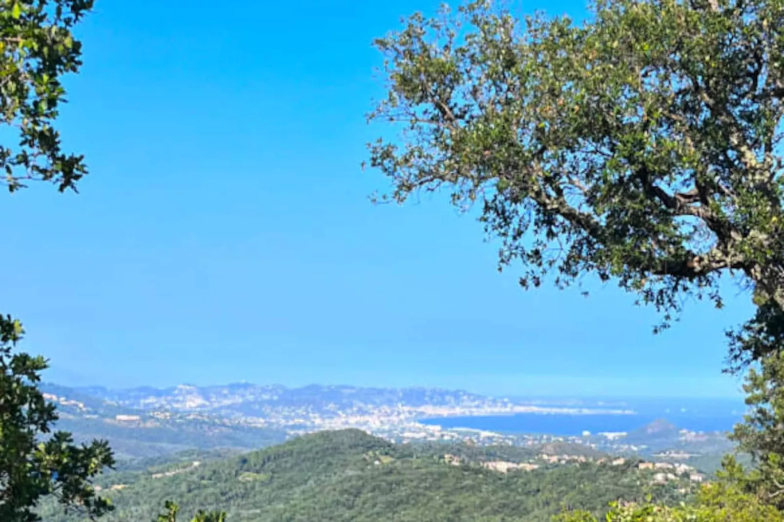 Double Villa Familiale 12 Pers, Piscine - Cannes-Image-tags.