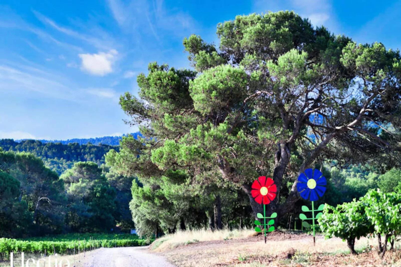 Petite Bastide | Domaine Tour Campanets-Image-tags.