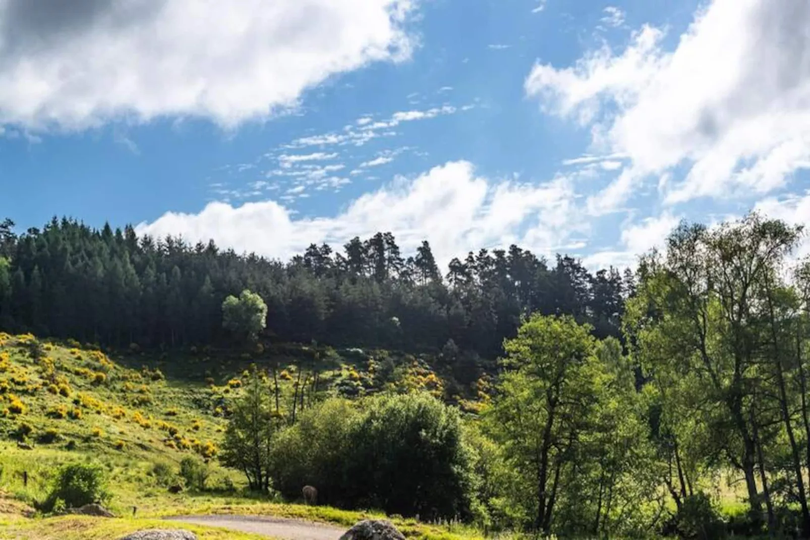 Gîte de France Gîte de la grange - domaine de coulagnettes 3 épis-Image-tags.