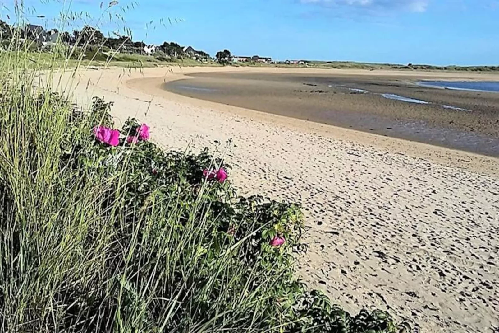 Résidence Kerhoat Elle-Image-tags.