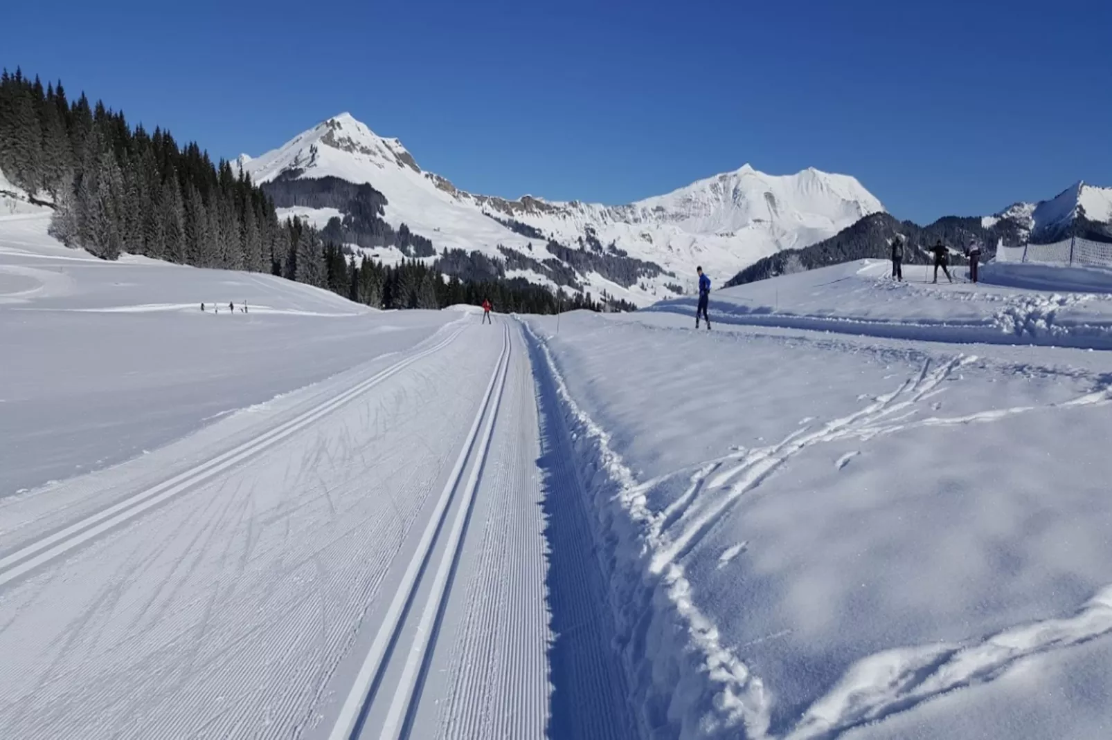 Résidence Samoyede-Gebied winter 1km