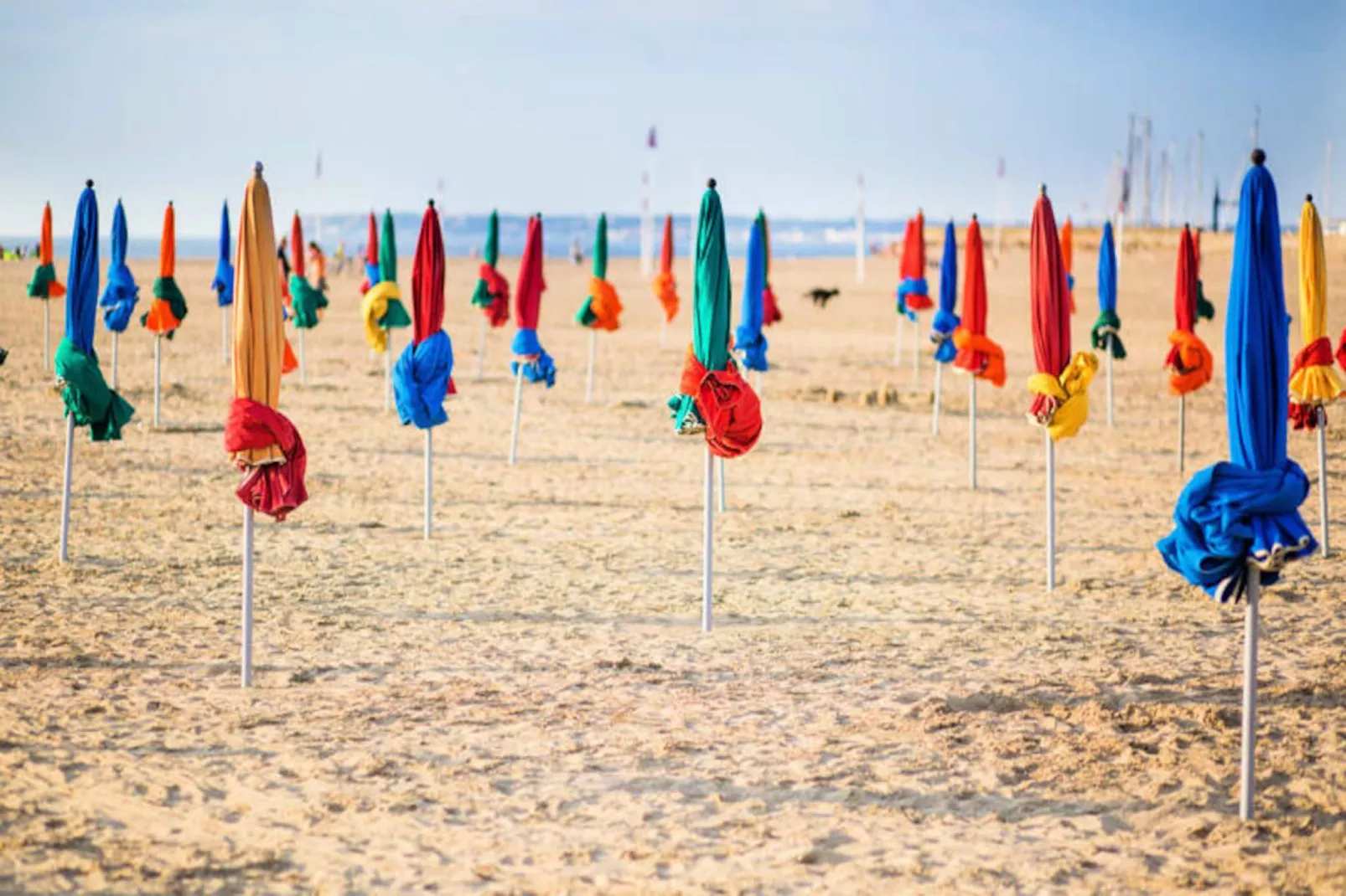 🌅  Le Petit Palais - 50m Plage - Vue Mer Et Campagne-Image-tags.