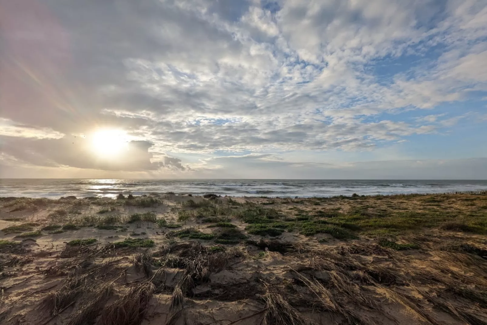 Résidence Bleu Marine - maeva Home-Gebieden zomer 5km