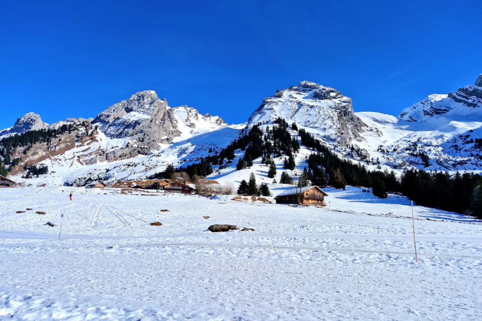 Résidence Samoyede-Gebied winter 1km