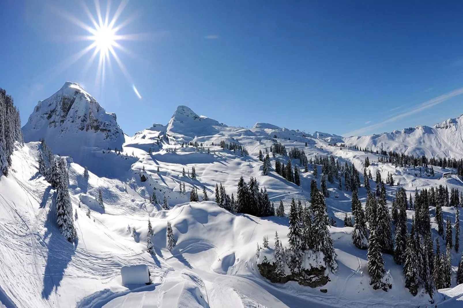 Résidence Sabaudia-Gebied winter 5km