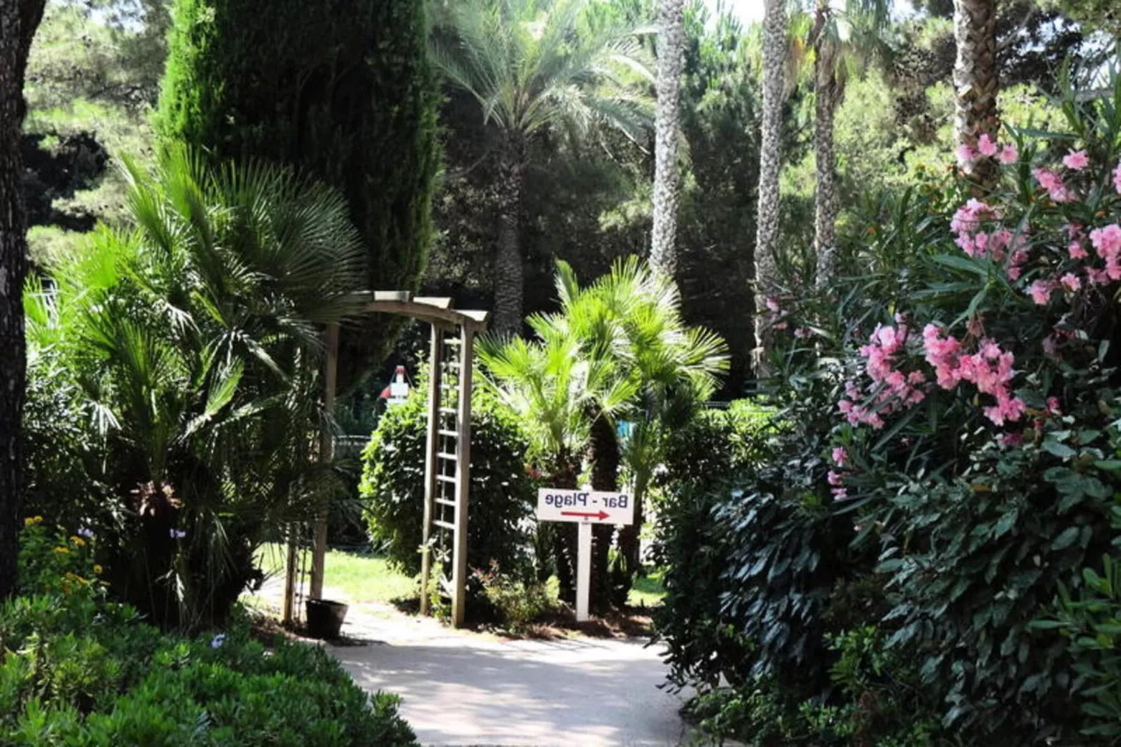 Résidence La Pinède - maeva Home-Buitenkant zomer