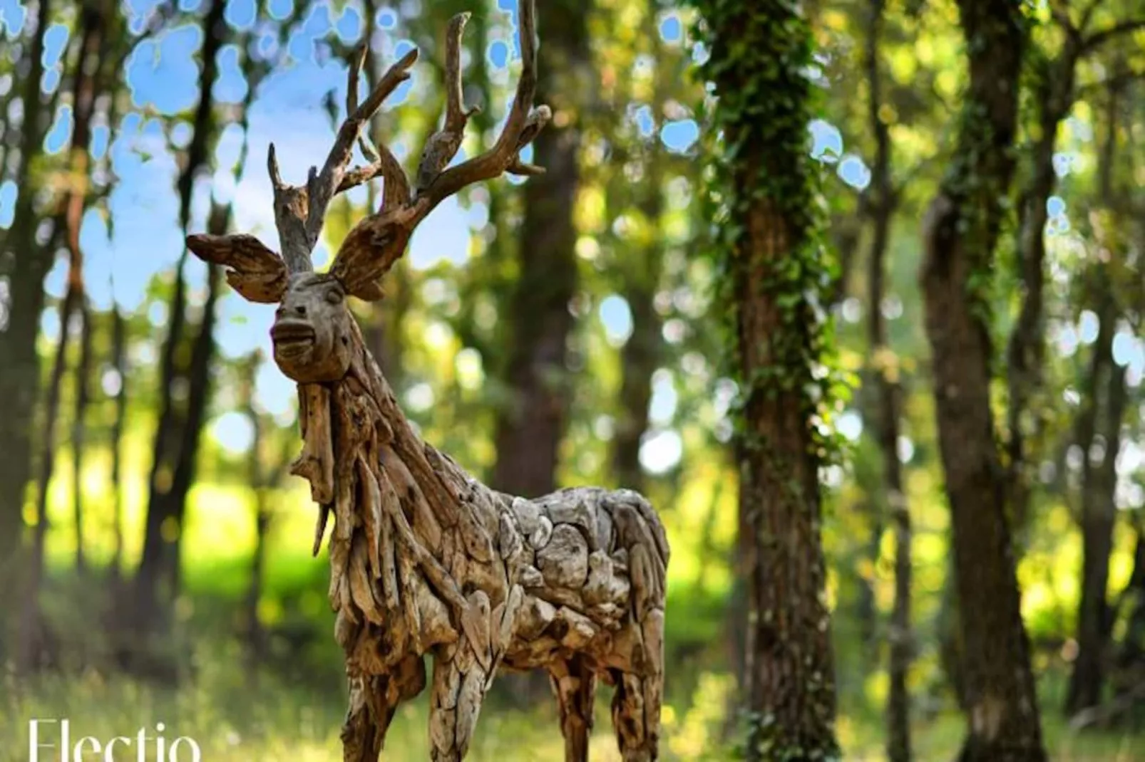 Petite Bastide | Domaine Tour Campanets-Image-tags.