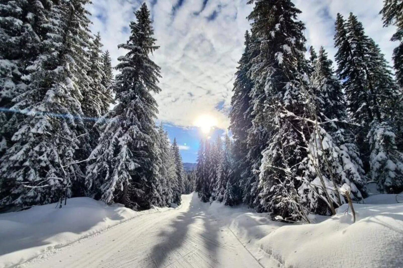 Chaleureux Studio Au Pied Des Pistes - Le Refuge **-Image-tags.