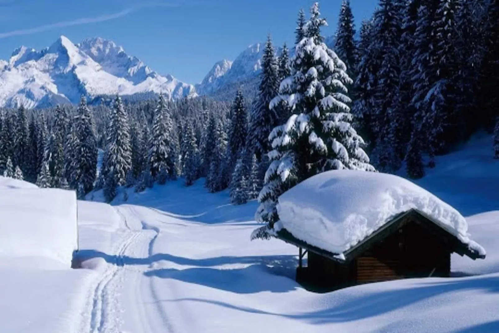 Appartements à Montriond-Gebied winter 5km