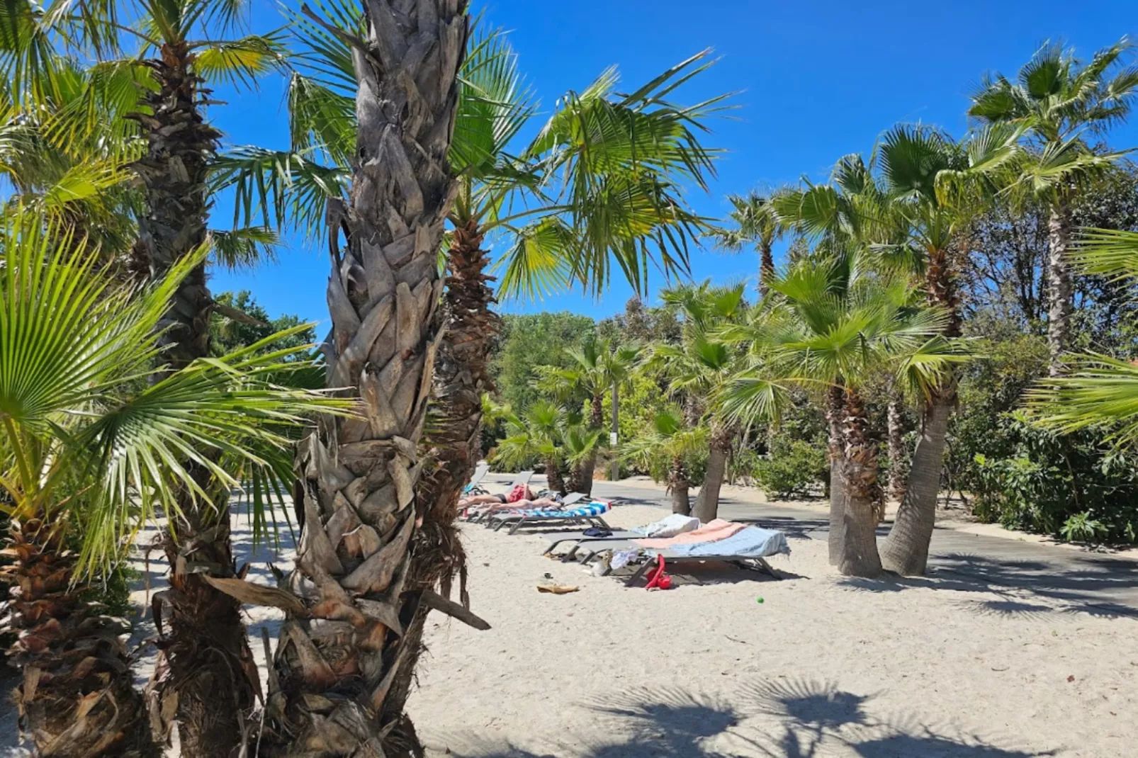Résidence Les Parcs de Grimaud - maeva Home-Gebieden zomer 5km