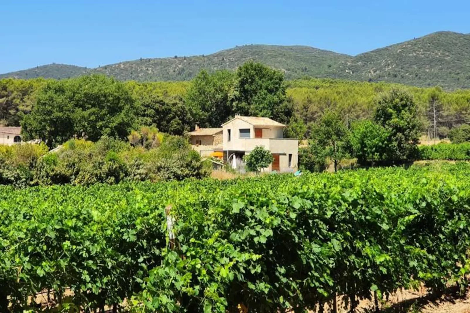 Vivez L'authenticit&eacute; &agrave; La Maison "au Pied Des Vignes"-Image-tags.