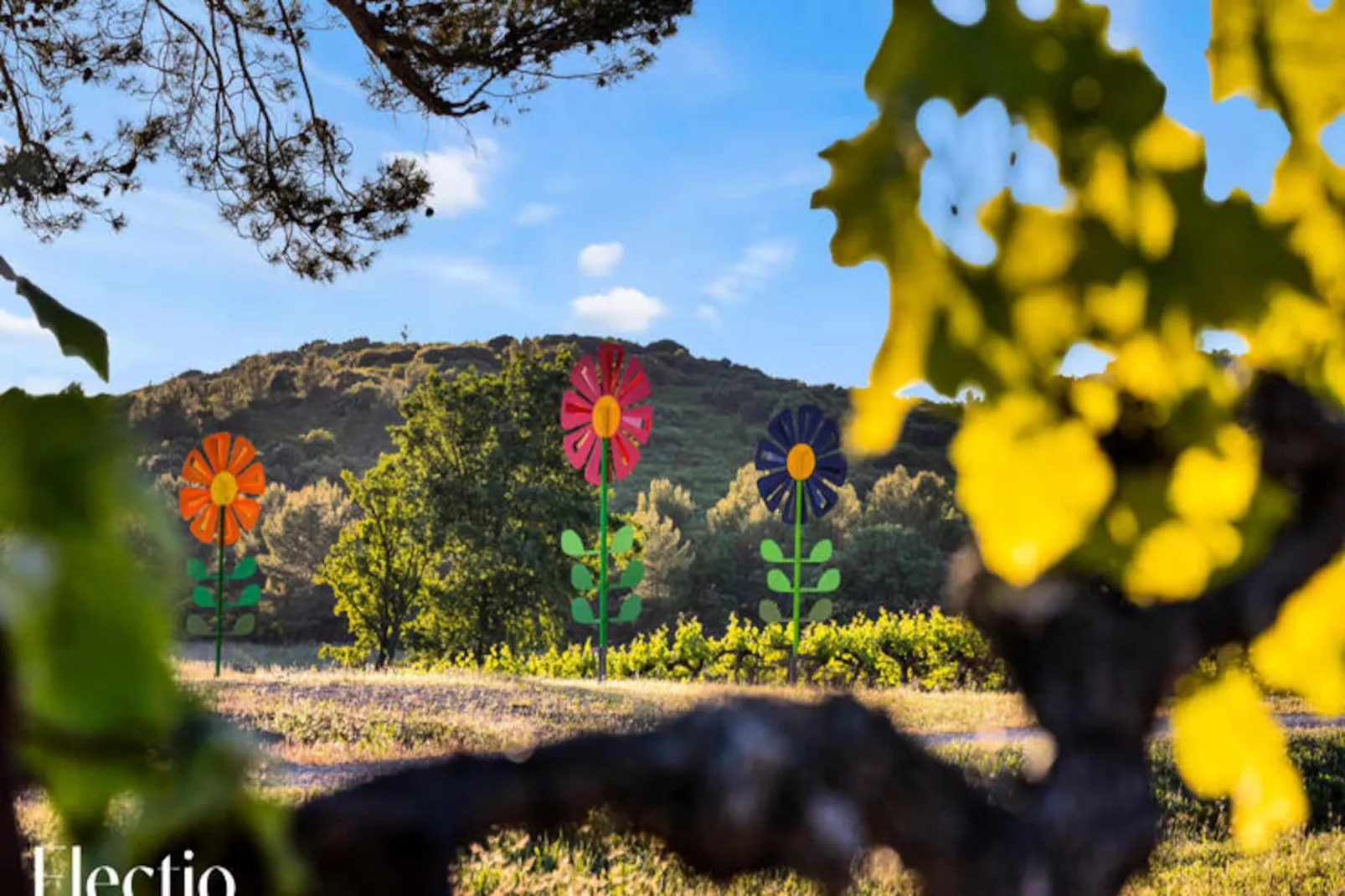 Grande Bastide | Domaine Tour Campanets-Image-tags.