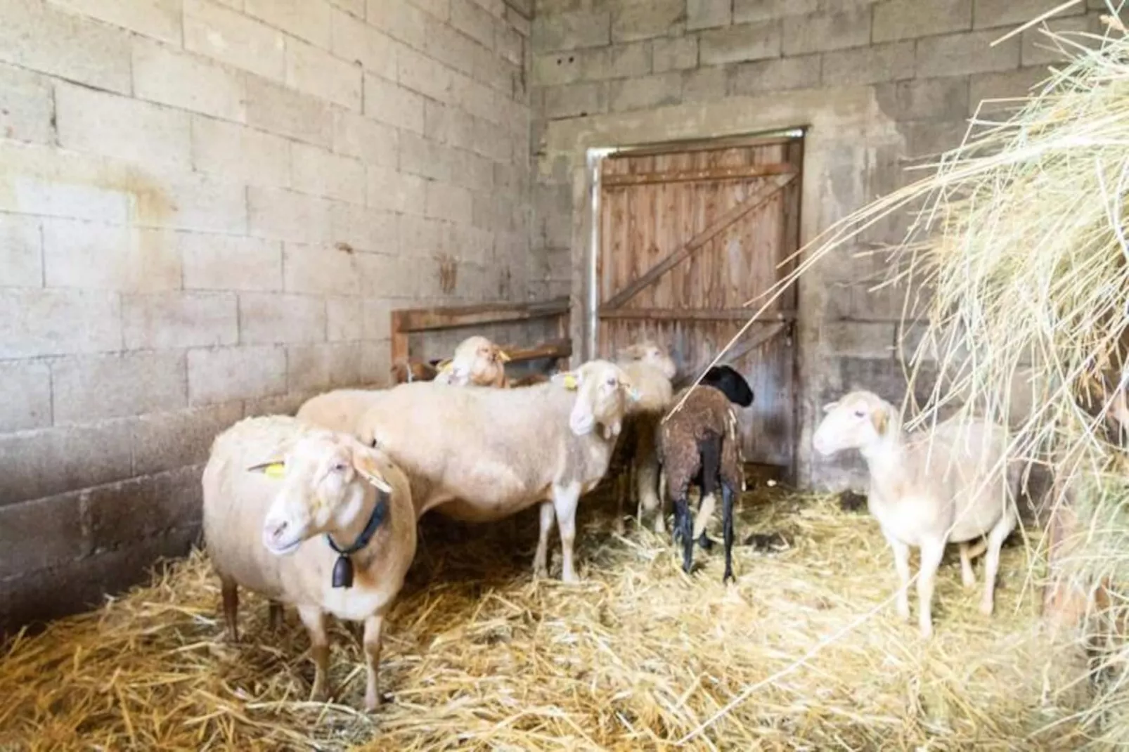 Gîte de France Gîte de la grangette 5/6 personnes 3 épis-Image-tags.