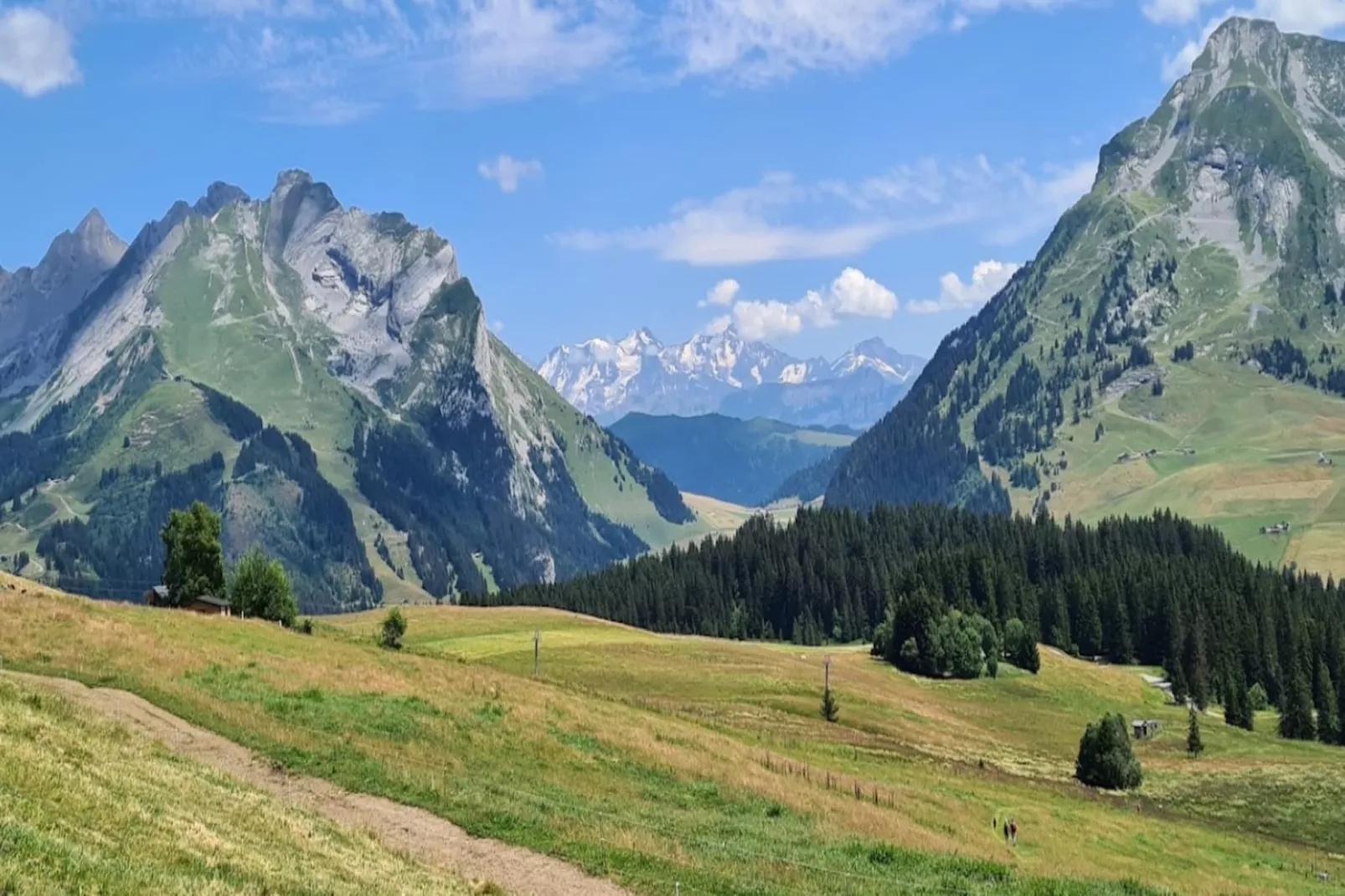 Résidence Le Belvedere 3-Gebieden zomer 5km