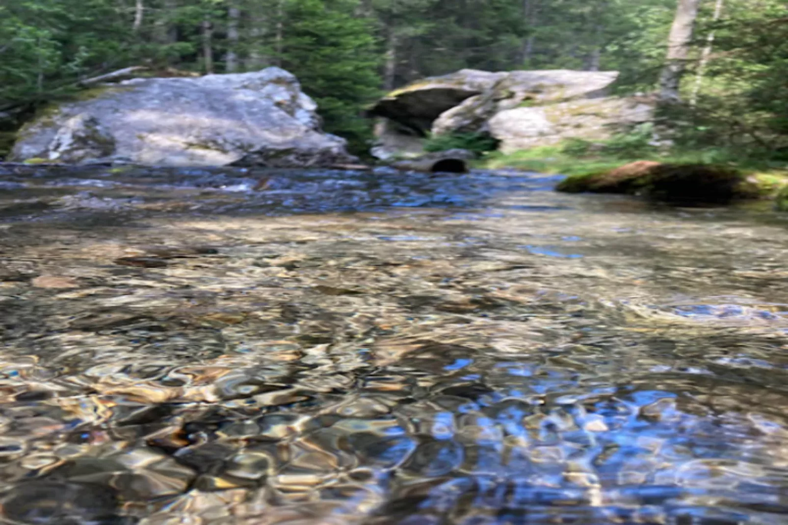 Résidence Prestige Odalys Isatis****-Gebieden zomer 5km