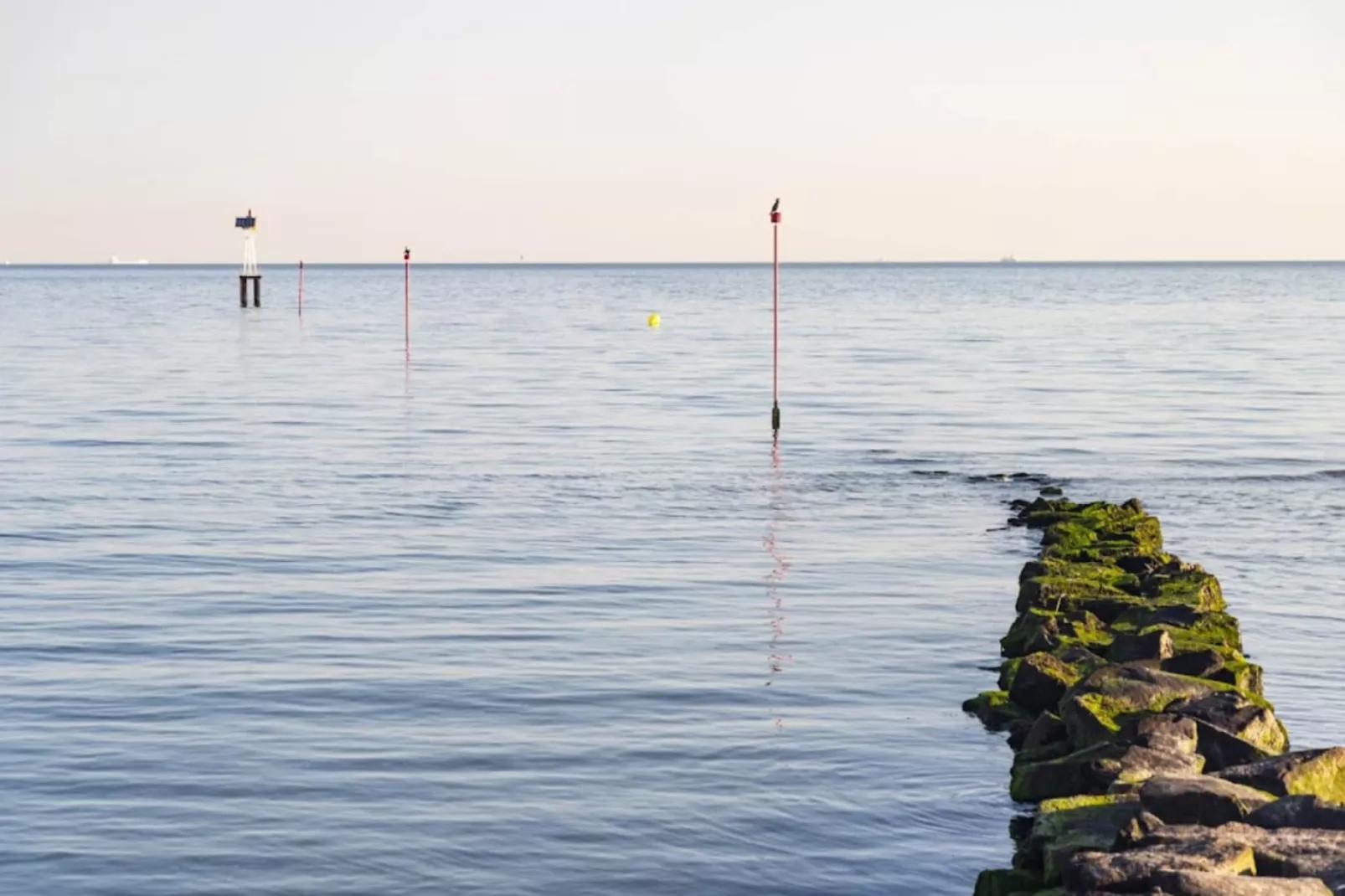Résidence Presqu'Ile de la Touques-Gebieden zomer 5km
