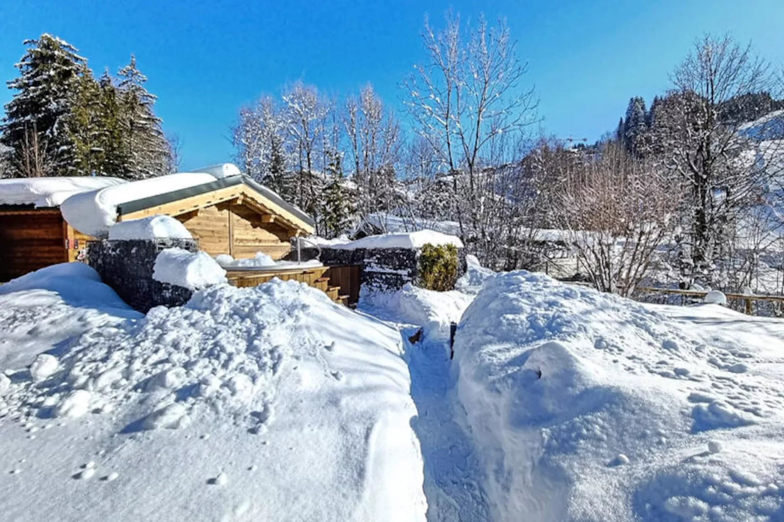 Appartements à Les Gets-Image-tags.