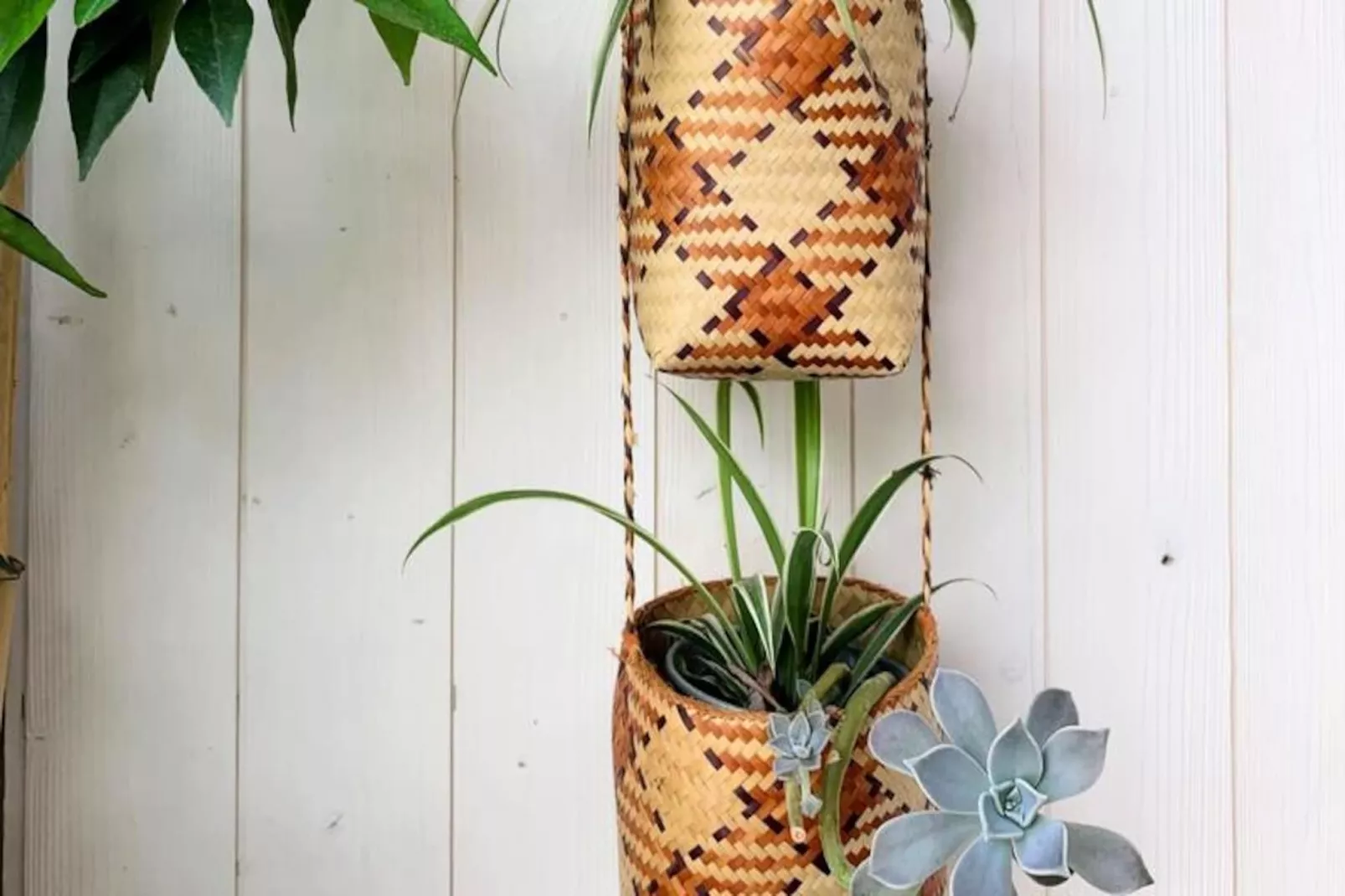 La Terrasse Bazille-Image-tags.