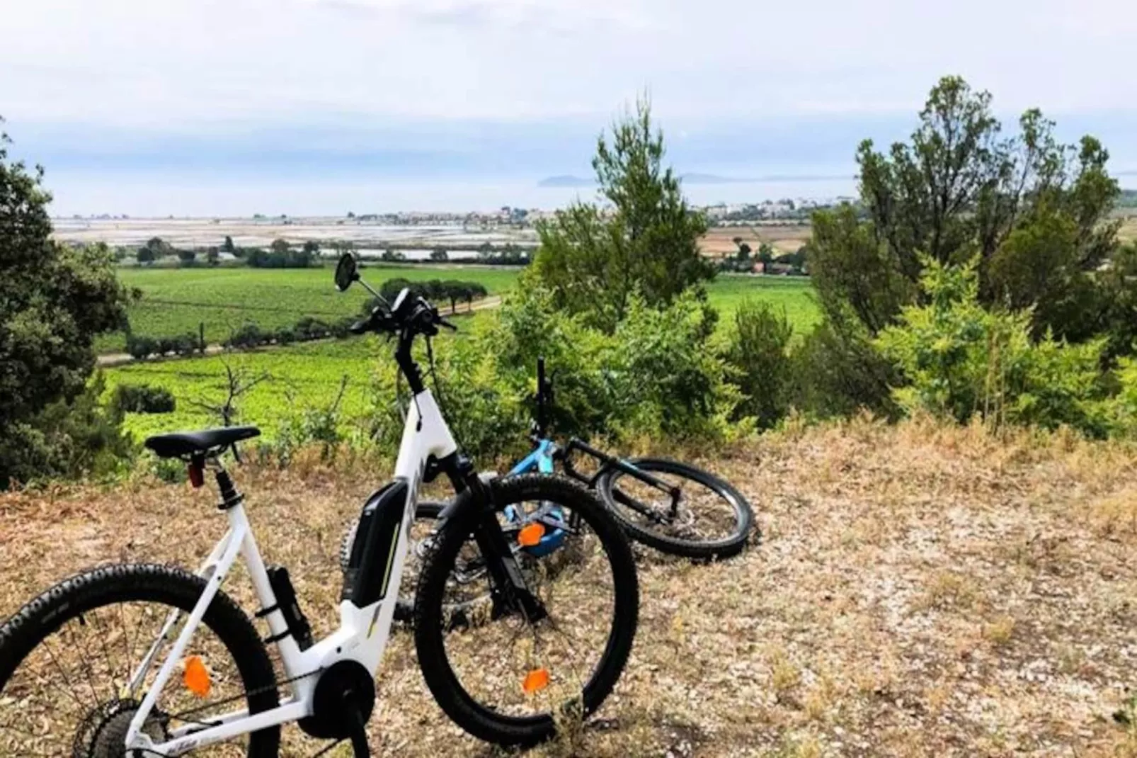 Résidence Balcons Alycastre-Image-tags.