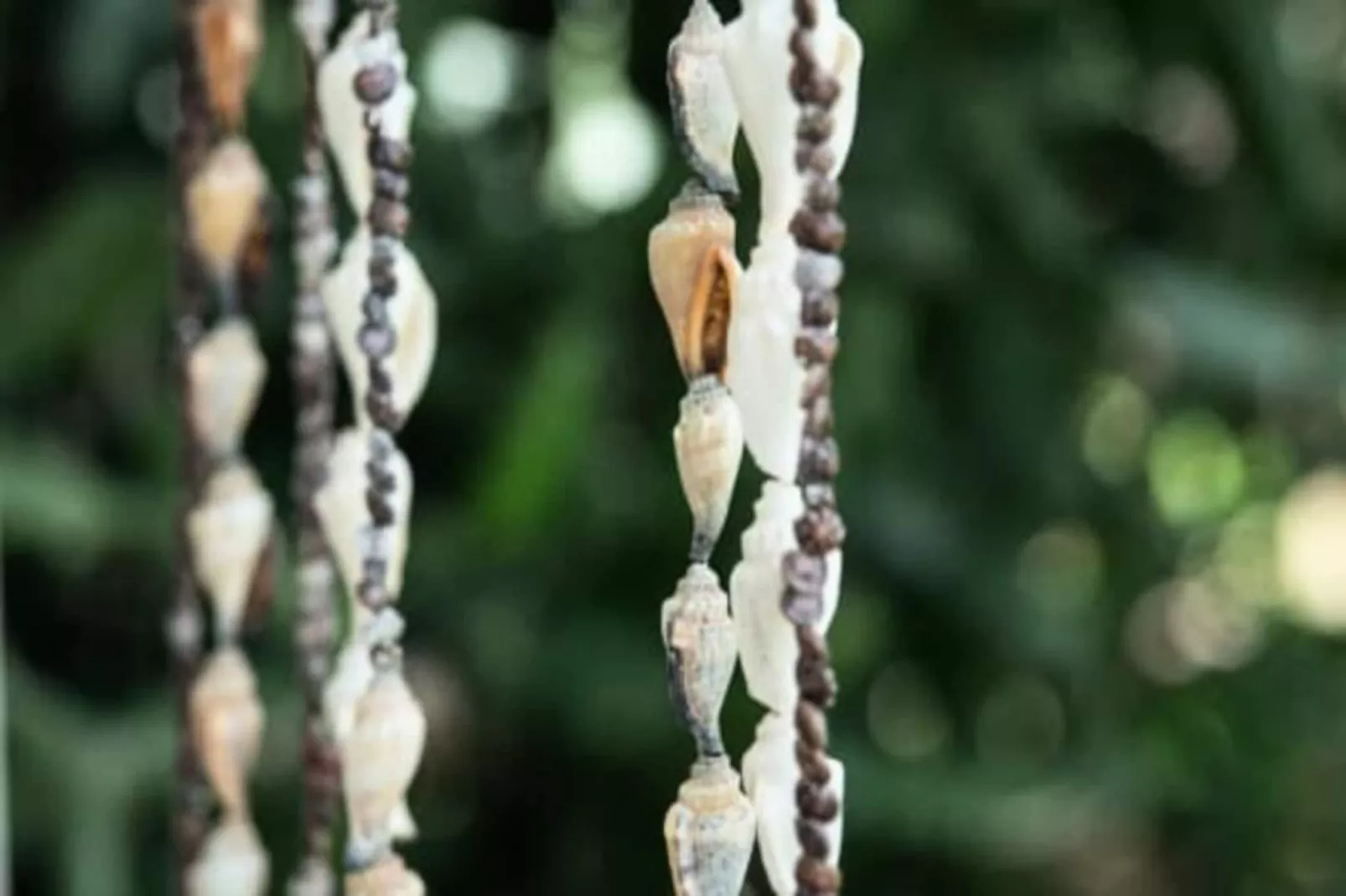 Villa Gwada-Image-tags.