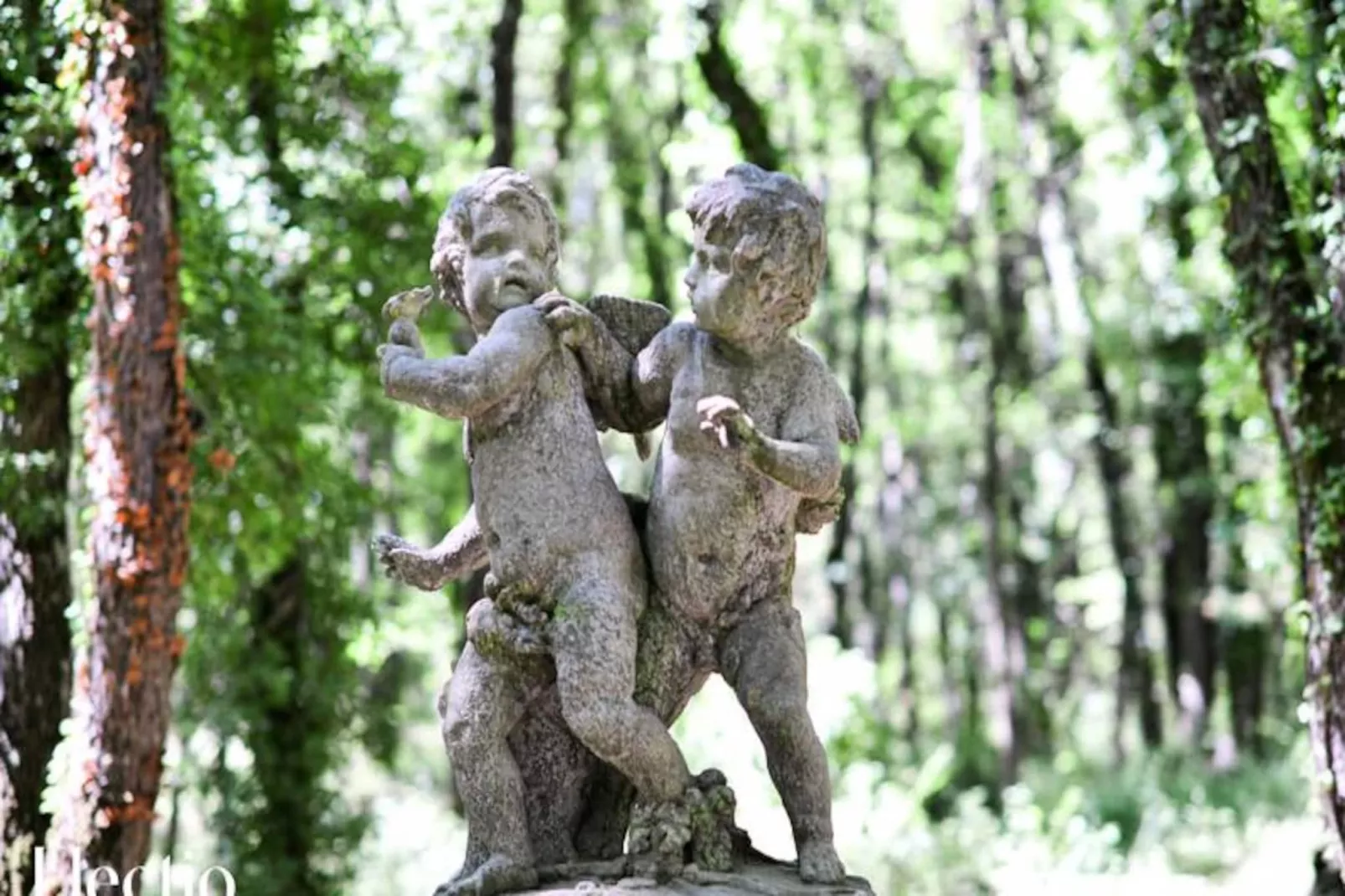 Grande Bastide | Domaine Tour Campanets-Image-tags.