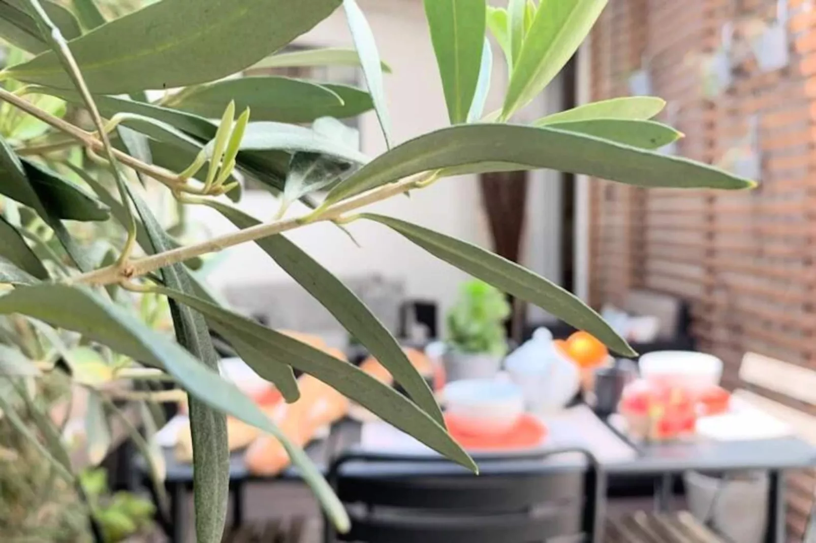 La Terrasse Bazille-Image-tags.