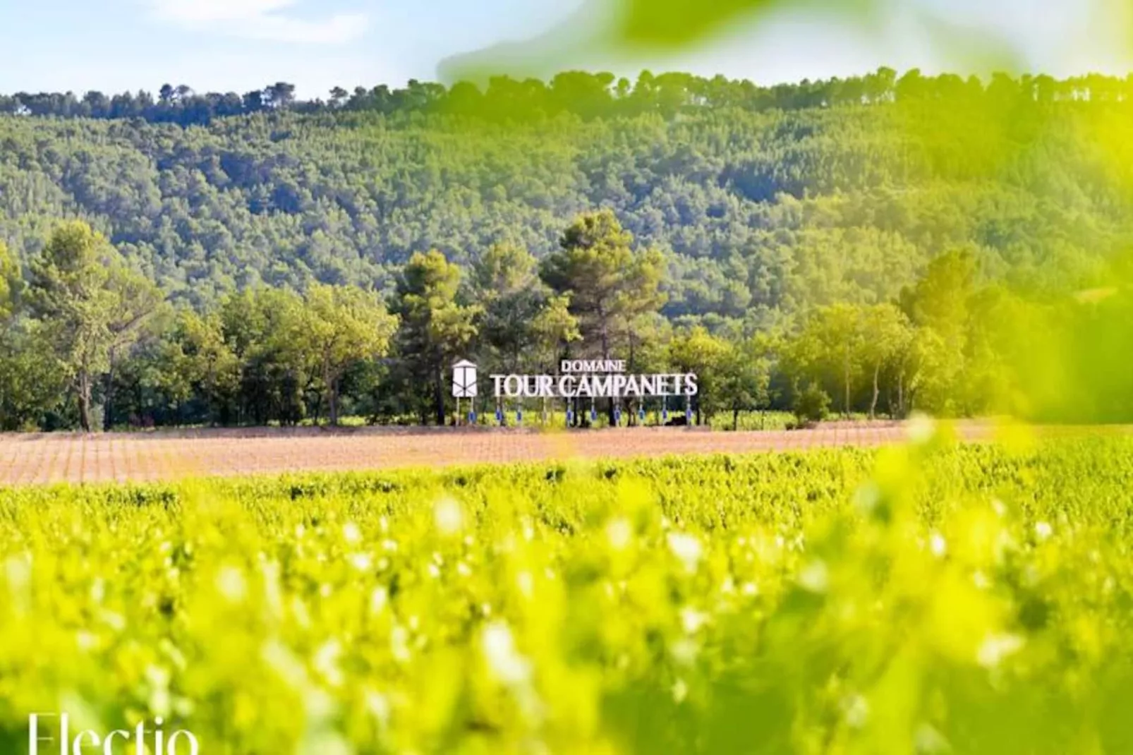 Grande Bastide | Domaine Tour Campanets-Image-tags.