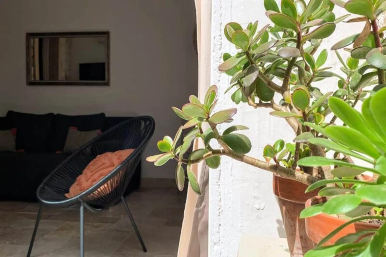 La Terrasse Bazille-Image-tags.