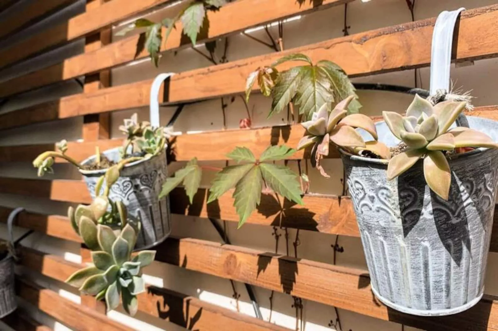 La Terrasse Bazille-Image-tags.