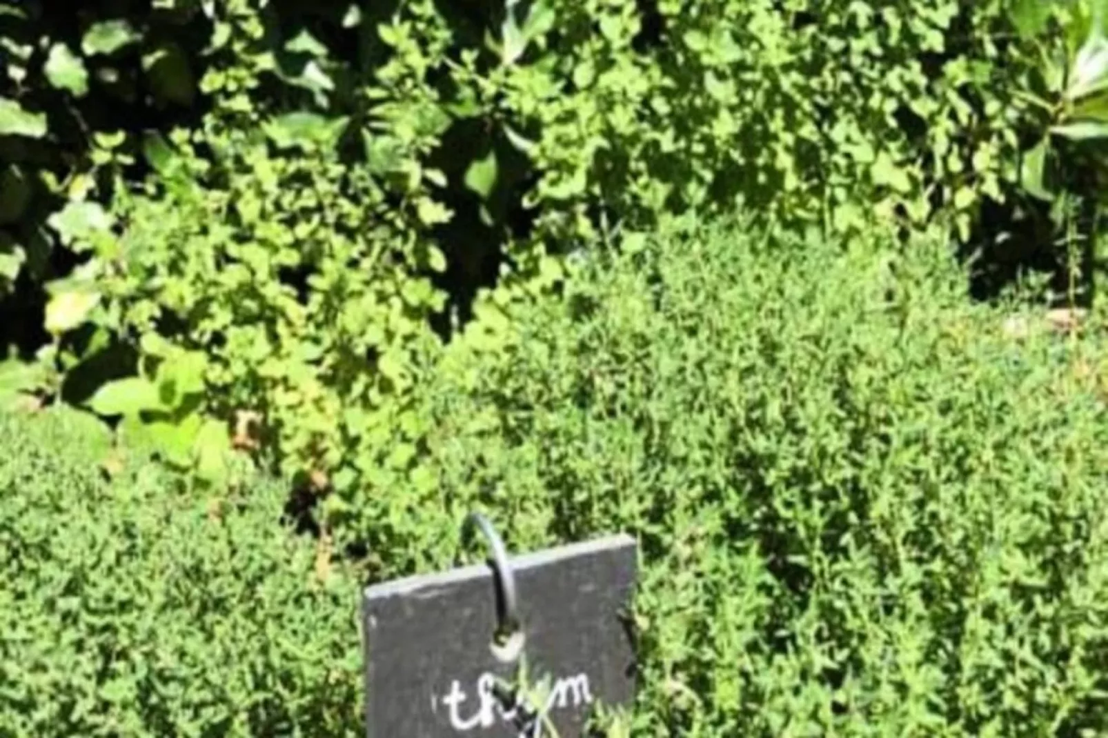 La Matina : Exp&eacute;rimentez Une Maison D'architecte-Image-tags.