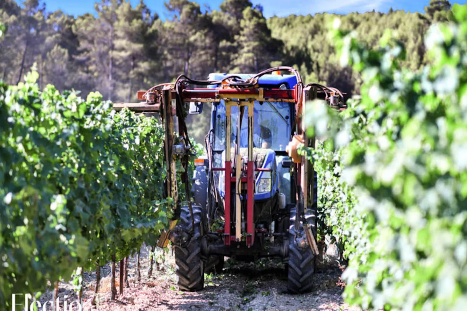 Grande Bastide | Domaine Tour Campanets-Image-tags.