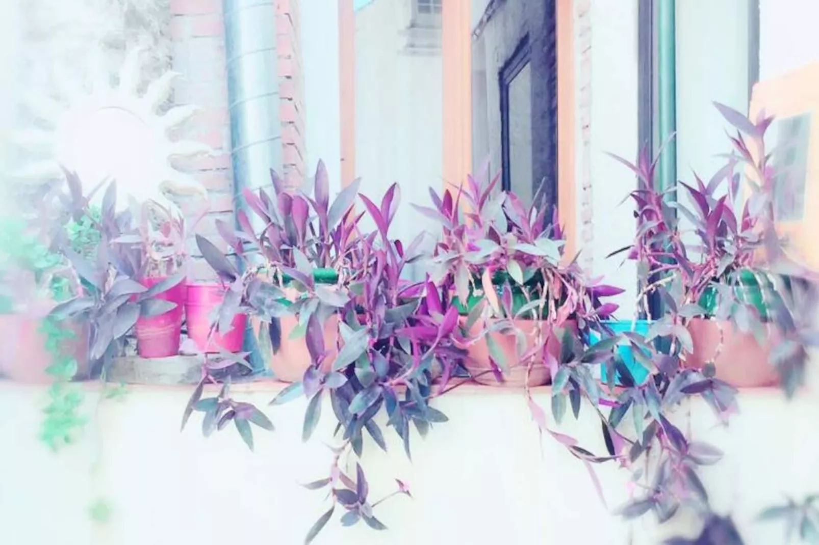 R&eacute;sidence St Vincent-Image-tags.