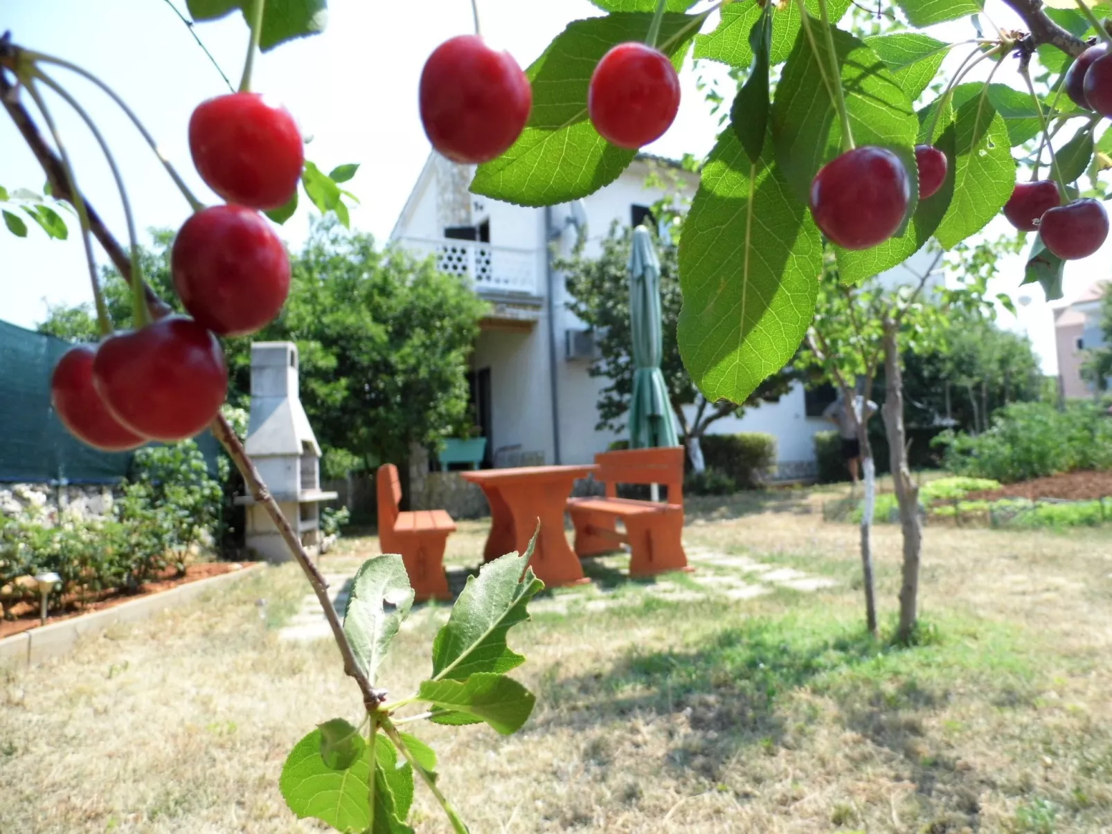 Schöne, gemütliche Ferienwohnung "Mira B" mit Garten