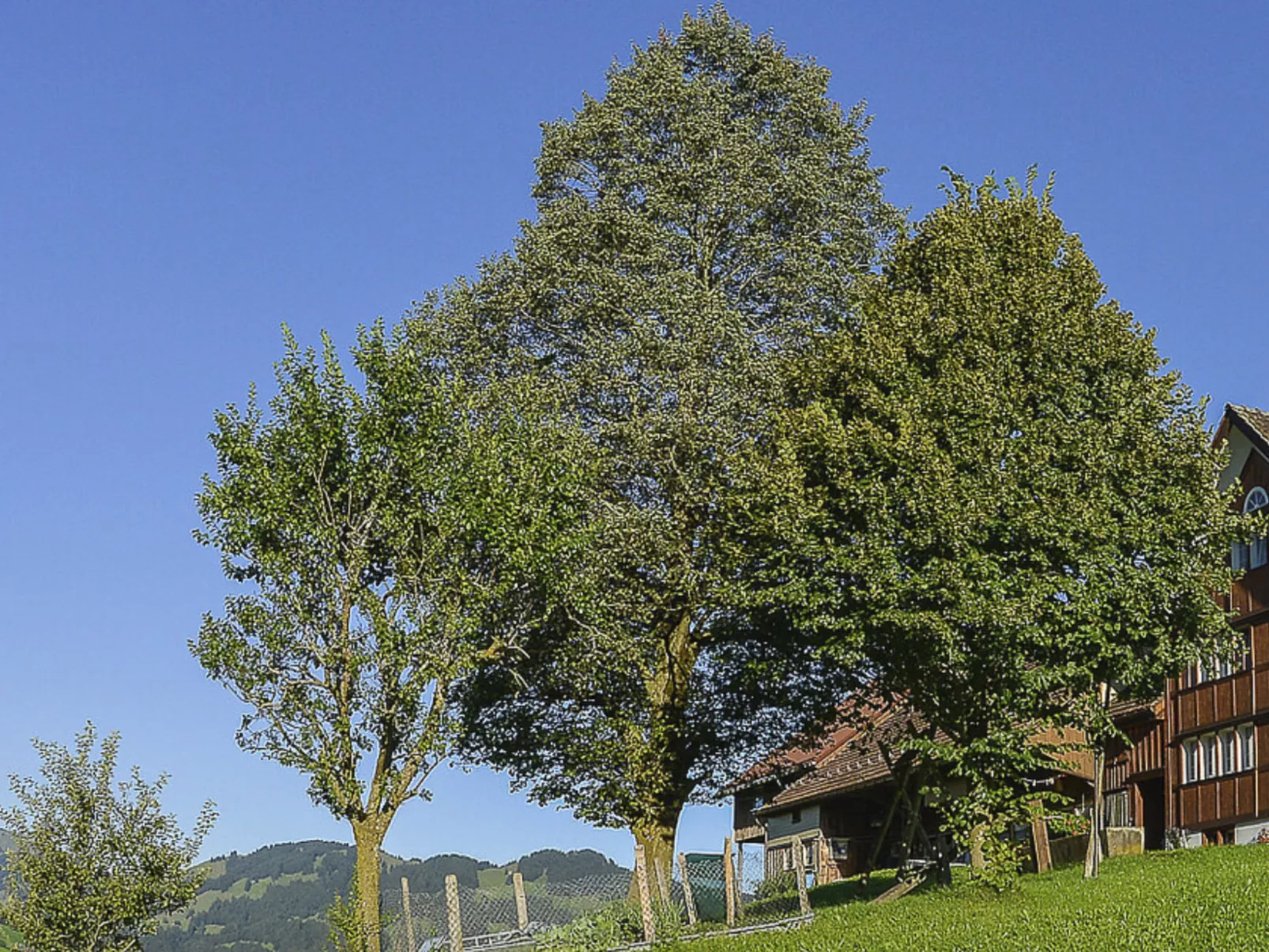 Ferien Alpsteinblick