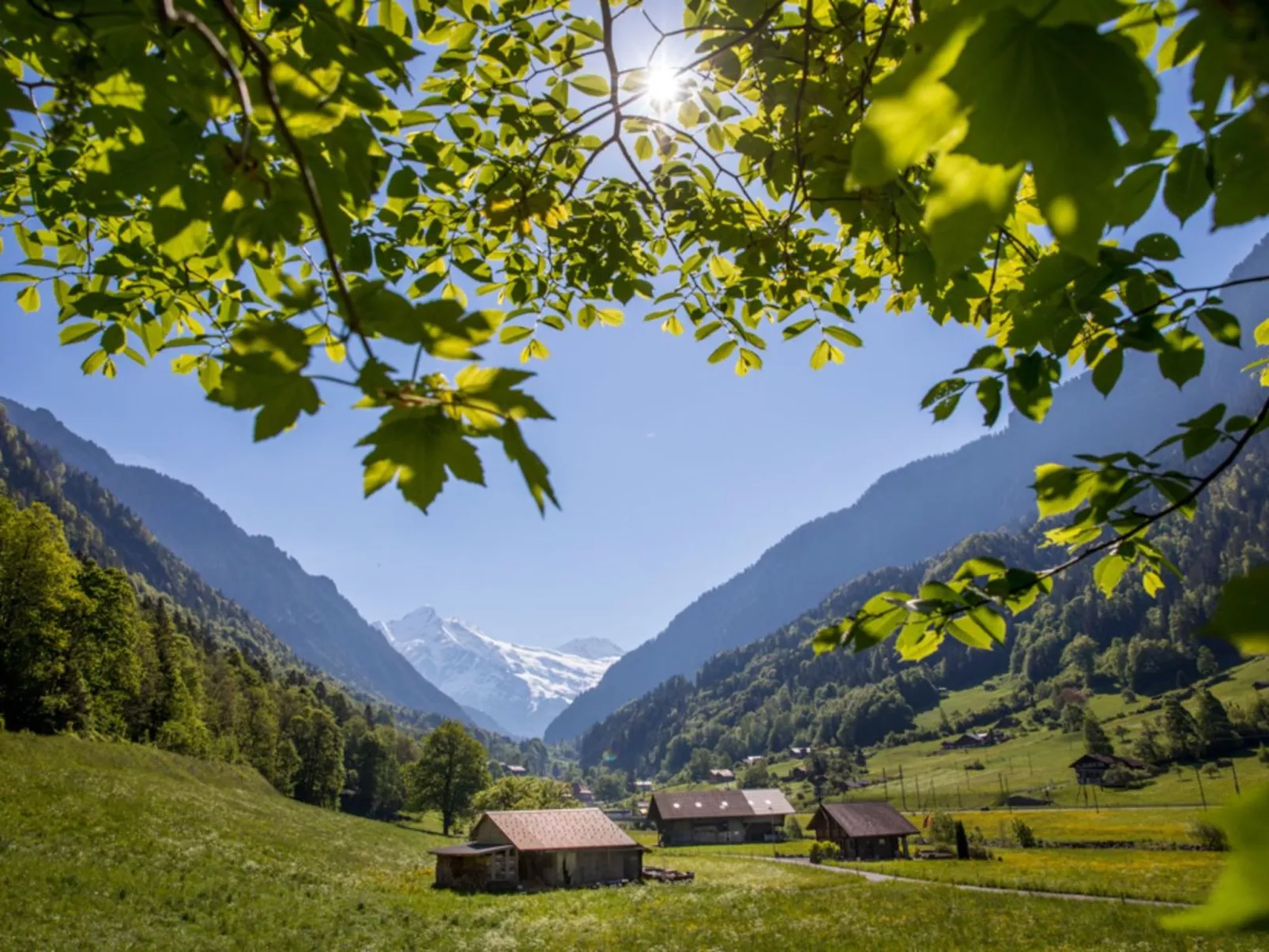 Haus bei Grindelwald