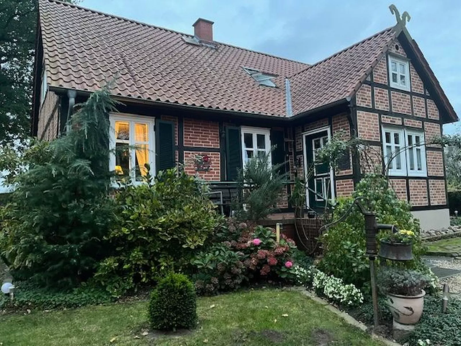 Haus Elbrose inmitten von Rosen mit Elbdeichzugang