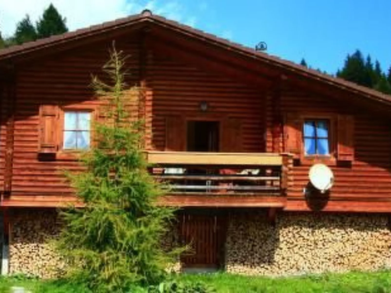 Blommen in Falkertsee