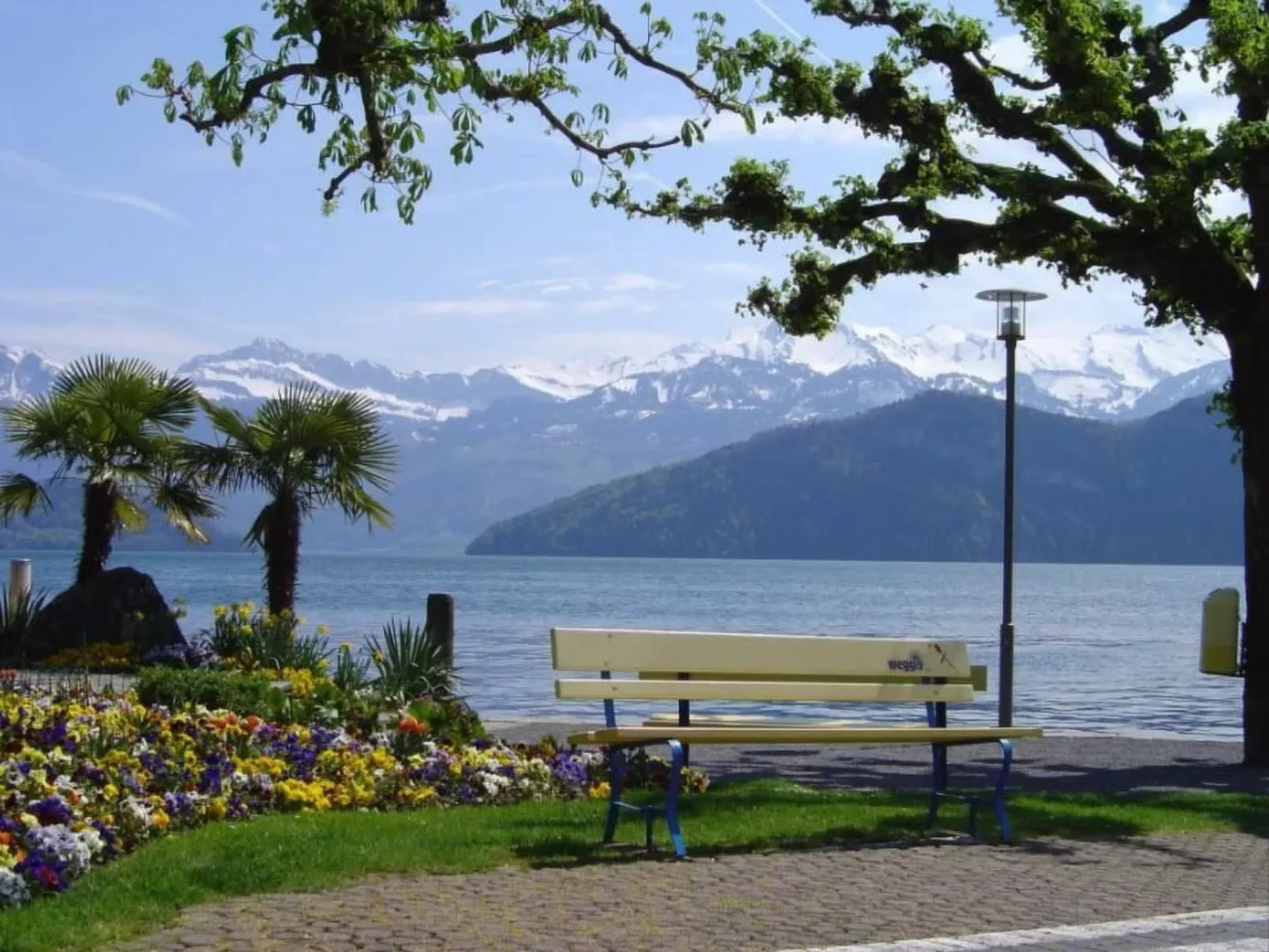 Studio "Rubi" Weggis