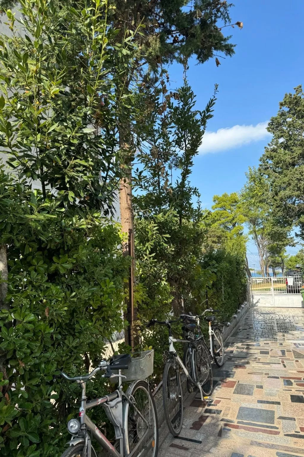 Wohnung Ružica01 in Strandnähe - Agentur TA Leut